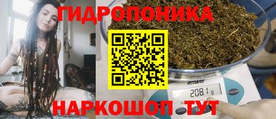 шишки Мариинск