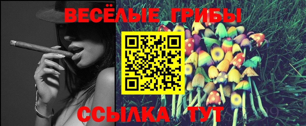 Галлюциногенные грибы Psilocybe Тайшет